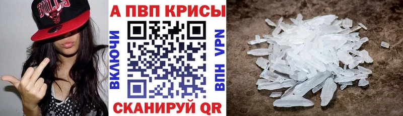 закладки Камышлов А ПВП крисы CK