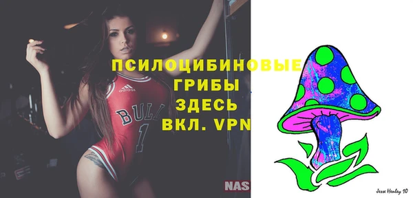 соль курить ск Алексеевка