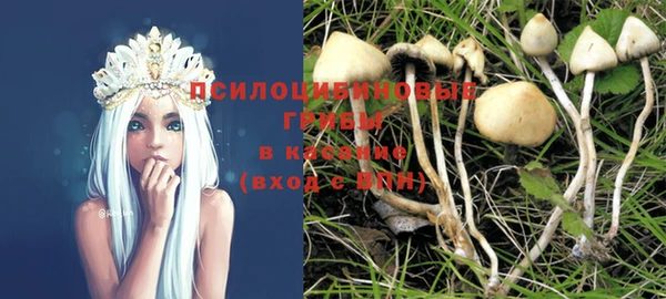 соль курить ск Алексеевка