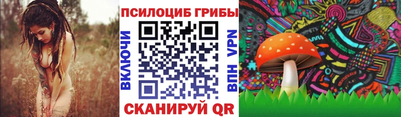 Псилоцибиновые грибы мухоморы MEGA Камышлов
